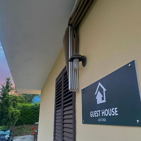 Guesthouseantonia 阿韦利诺 外观 照片